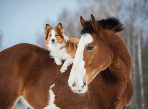 Screenshot 2024-04-12 115947