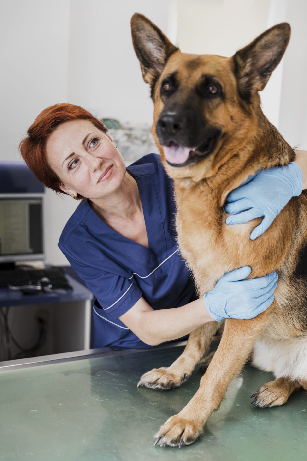 medium-shot-smiley-doctor-hugging-cute-dog Close up on veterinary doctor taking care of pet